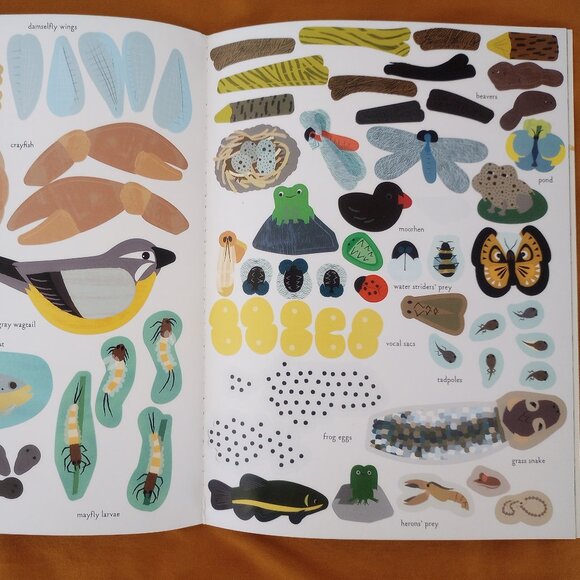 Streams and Ponds: My nature sticker activity book from Olivia Cosneau-New - Picture 4 of 4